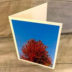 5X7 greeting card made from a photograph of a clear September day in Wisconsin.
